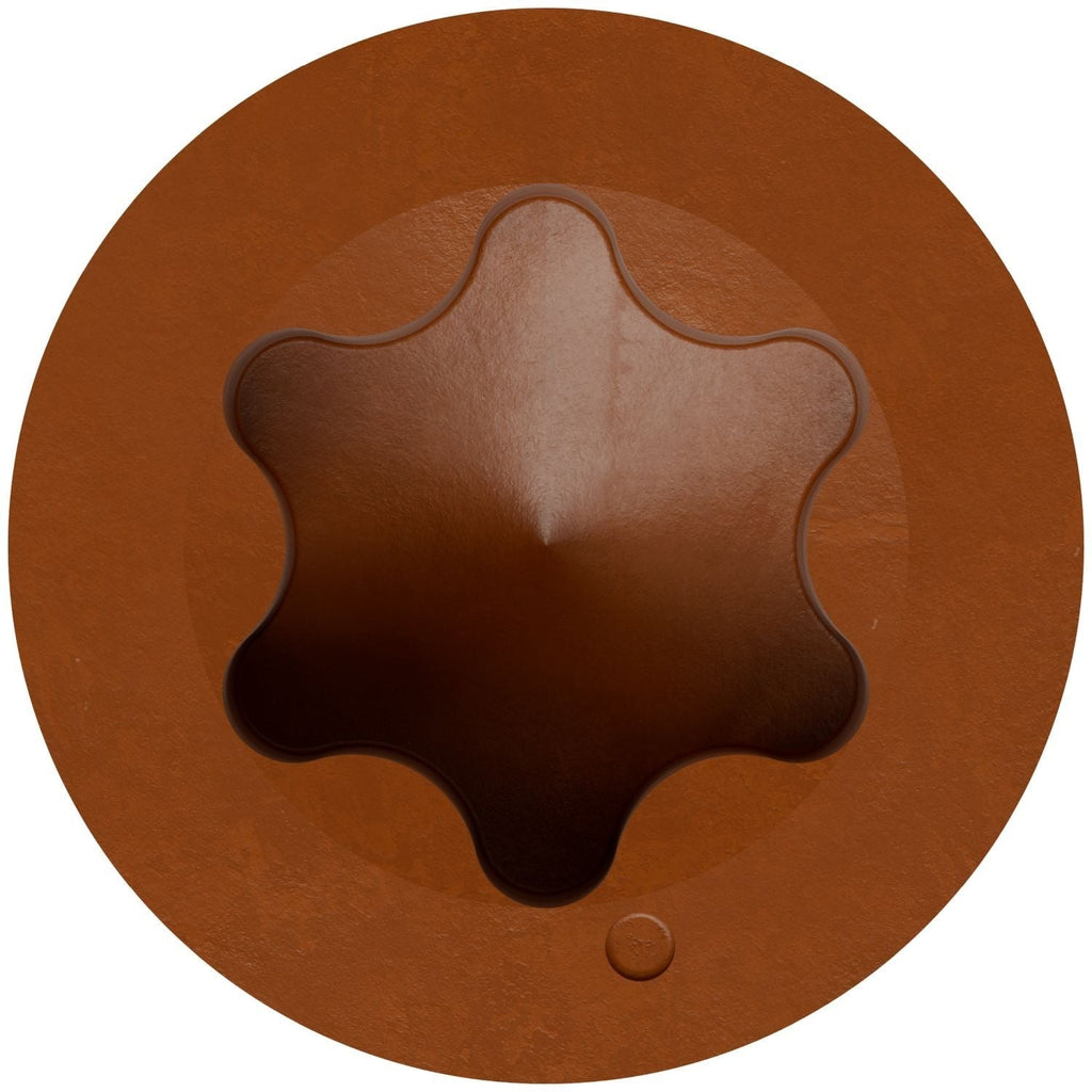 Simpson Strong-Tie T07225FT70TN04 Trim-Head Screw, 6-Lobe Drive, #7 x 2-1/4-in. T-15 Type 316, Tan 04, 70-Pack