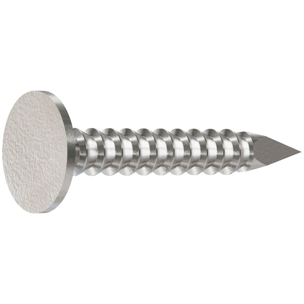Simpson Strong-Tie S210ARN1 Roofing Nail, Annular Ring Shank, 1-in. x .131-in. Type 304 Stainless Steel, 1-lb.