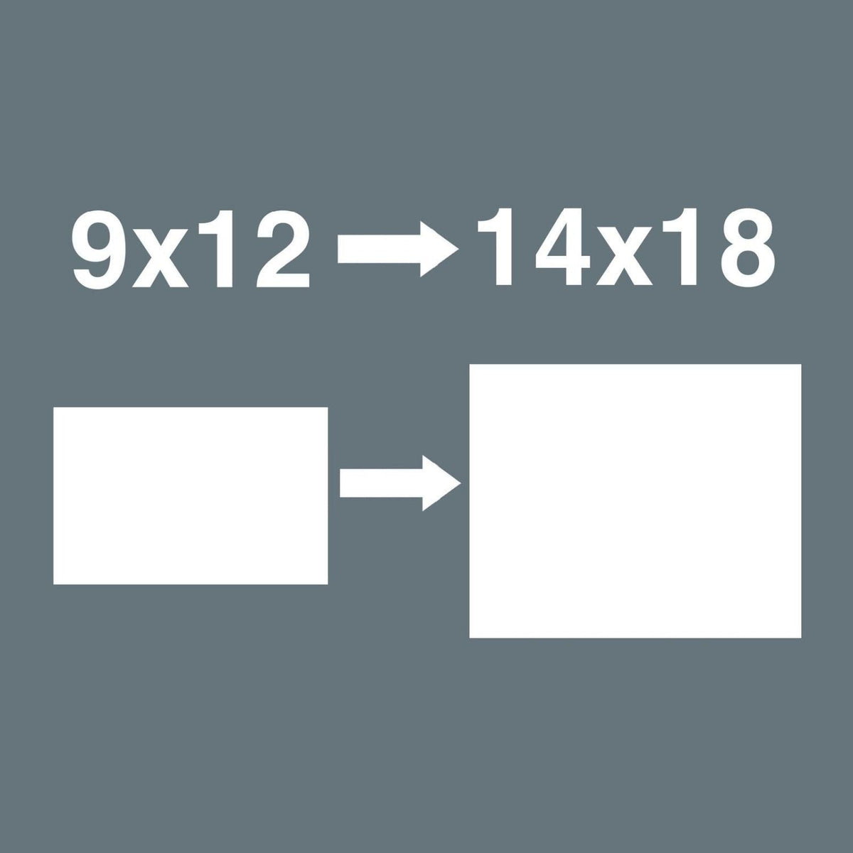Wera 7779/1 Adapter Insert, 9X12-mm., 9X12x14X18x49-mm.