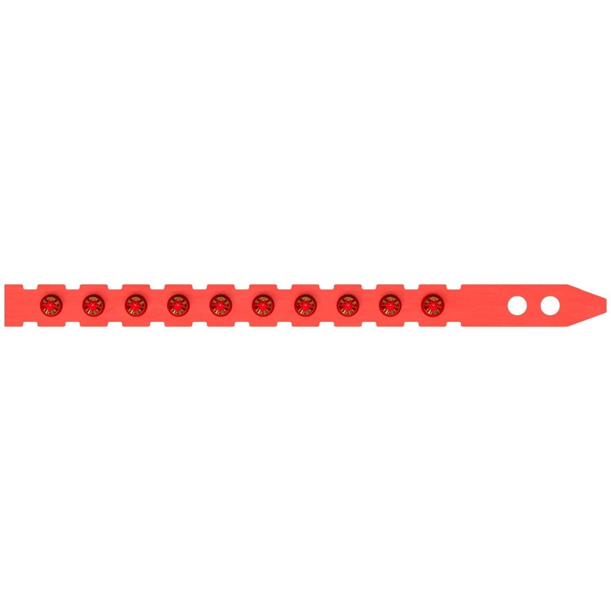 Simpson Strong-Tie P27SL5A P27SL 0.27-Caliber Plastic, 10-Shot Strip Loads, Red - Imported, 100-Pack