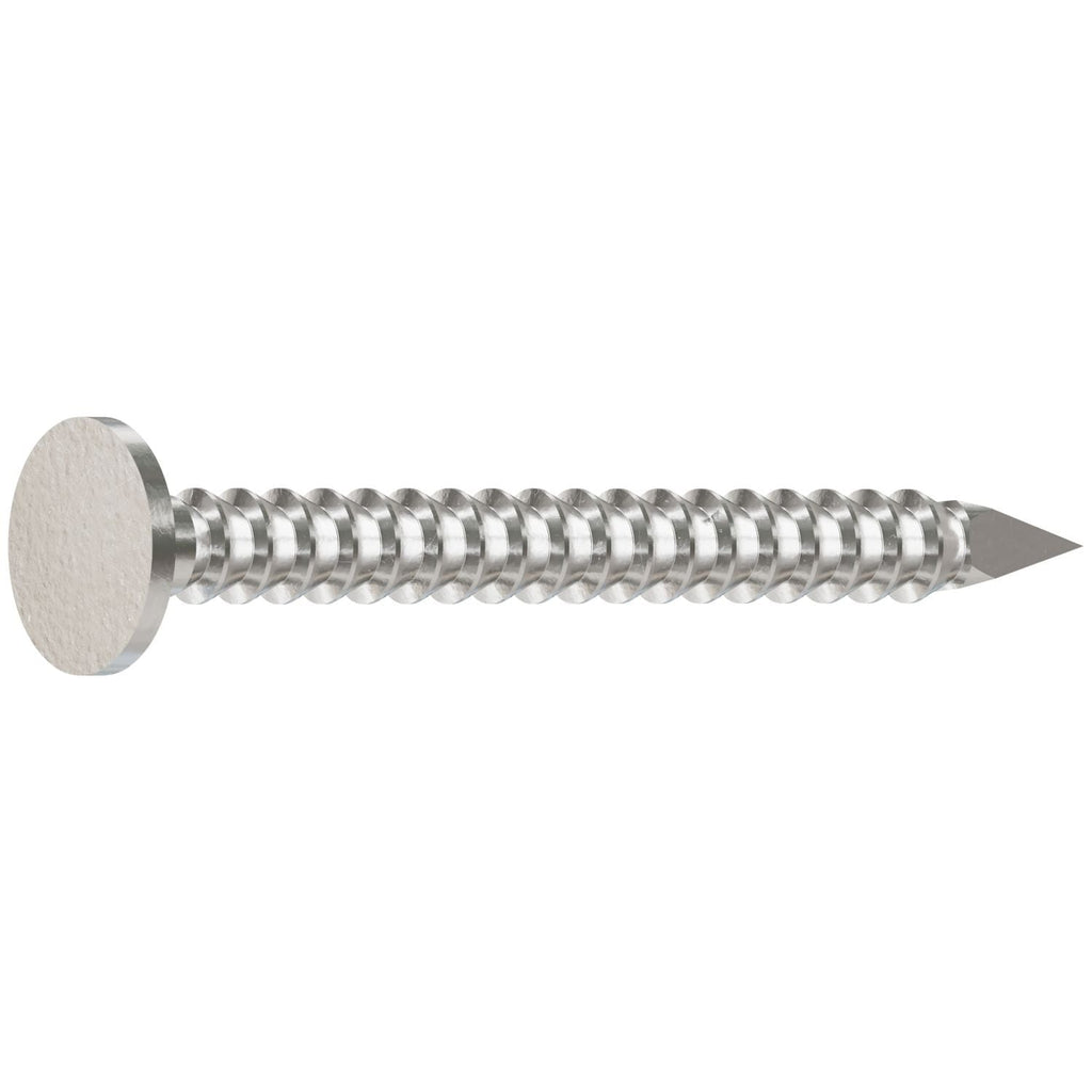 Simpson Strong-Tie S2HACNB Common Nail, Annular Ring Shank, 1-in. x .083-in. Type 304 Stainless Steel, 25-lb.