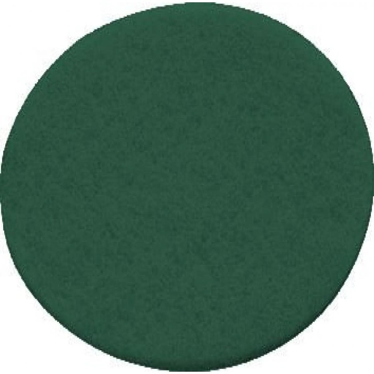 Festool 496508 Vlies, Green for 150 mm (6") Sanders, 10 Pack