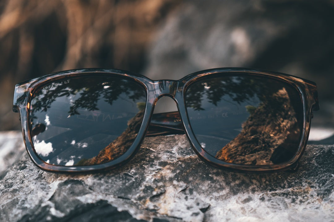 Heat Wave Apollo TORTOISE Sunglasses
