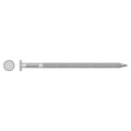 Simpson Strong-Tie T12ACNB Common Nail, Annular Ring Shank, 3-1/4-in. x .148-in. Type 316 Stainless Steel, 25-lb.